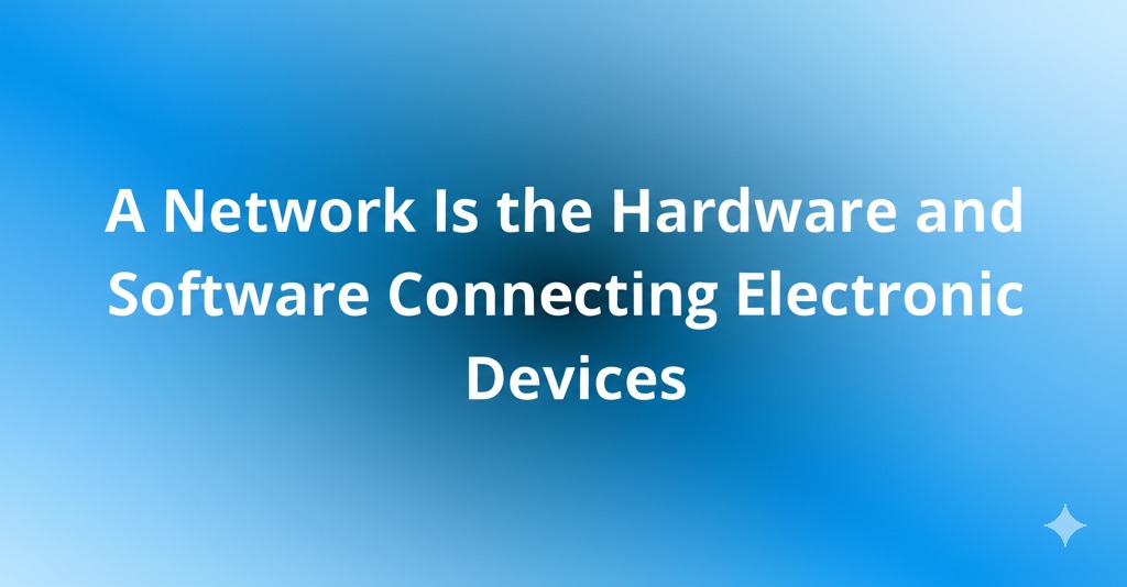 a n is the hardware and software connecting electronic devices