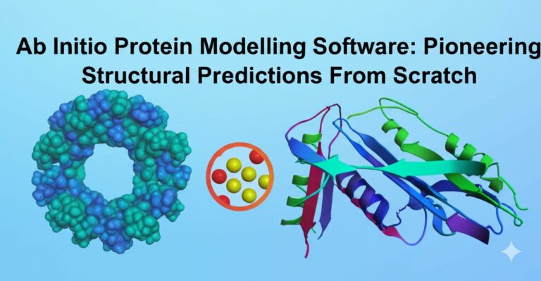ab initio protein modelling software
